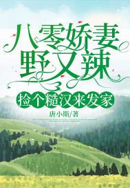 八零糙汉的宠妻日常阅读