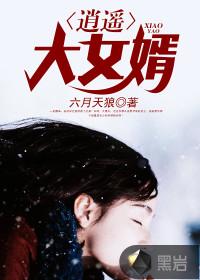 逍遥大女婿内容