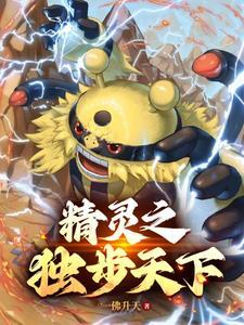 精灵宝可梦之登神长街百度百科