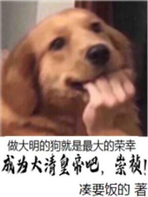 我成了崇祯帝