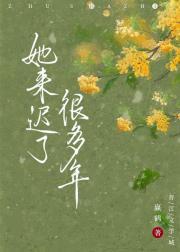 她来迟了很多年免费阅读