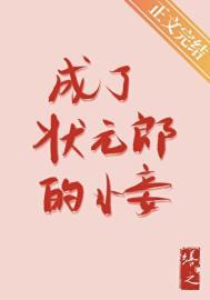 成了状元郎的小妾全文阅读