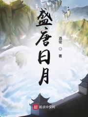 盛唐日月怎么不写了