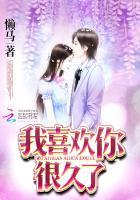 我喜欢你很久了晋江