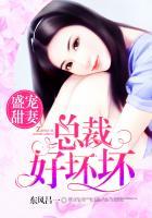 总裁盛宠翻译免费全文阅读