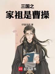 三国之曹家我做主