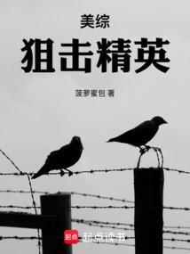 美剧狙击精英