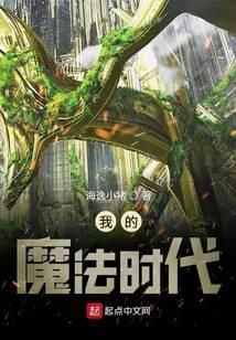 我的魔法时代有后续吗