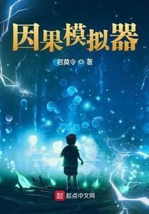 我的因果模拟器在哪里看