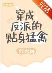 穿成反派贴身猛禽免费阅读