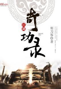 江湖奇功录阅读