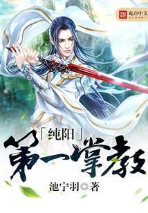 纯阳第一掌教TXT