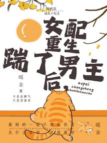 年代文女配重生后踹了男主 暖金