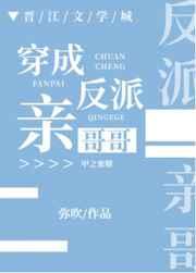 穿成反派亲哥哥弥吹免费阅读番外