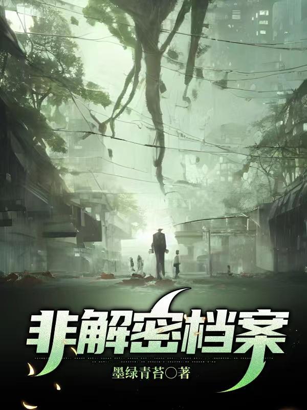 非解密档案评价