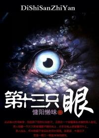 第十三只眼讲的什么