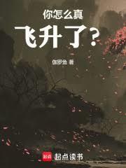 诛仙怎么飞升呢