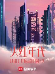 火红年代从钳工开始成科技巨头TXT