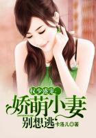 权少盛宠娇萌小妻别想逃