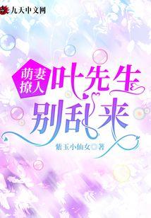 萌妻撩人叶先生别乱来