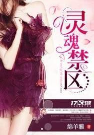 灵魂禁区怎么理解