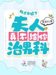 陆总夫人不好惹