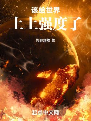 该给世界上上强度了目录