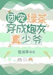 团宠绿茶穿成炮灰真少爷 雪满青