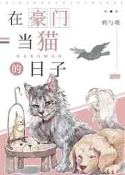 在豪门当猫的日子免费阅读