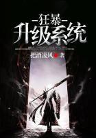 狂暴升级系统秦霜