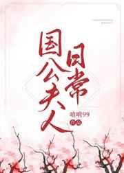 国公夫人日常txt
