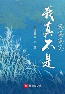 我真的不是得到高人