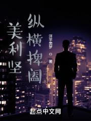 美利坚纵横捭阖正版免费