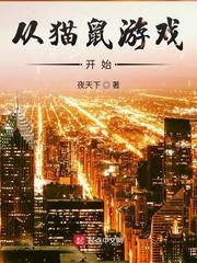 从猫鼠游戏开始类似的美剧