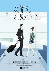 久等了机长大人结局好吗