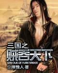 三国之窃贼天下