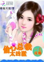 总裁偷心难防
