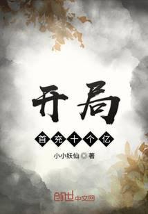 开局首充十个亿等级划分