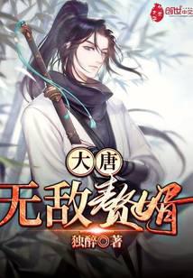 大唐无敌赘婿秦子川
