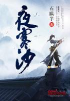 烟笼寒水夜寒沙