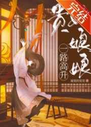 贵妃娘娘一路高升铁书网