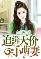 天价追妻令免费阅读