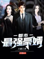 都市最强豪婿 笔趣阁
