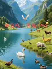 四合院开局1942作者佚名点击11