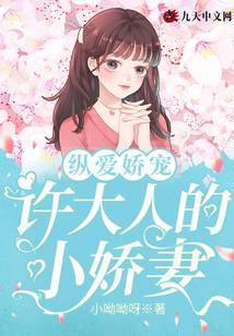 许大人的小娇妻免费阅读