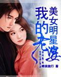 我的明星老婆txt