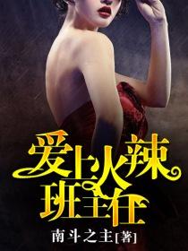 爱上班主任的电视剧