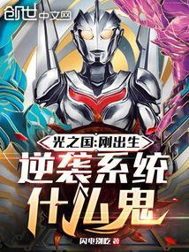 光之国之系统