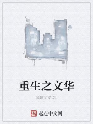 重生之文华加料版