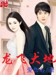 龙飞大地回春教学